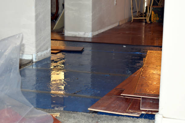 Professional Basement Flood Cleanup technician working in Spring House, PA